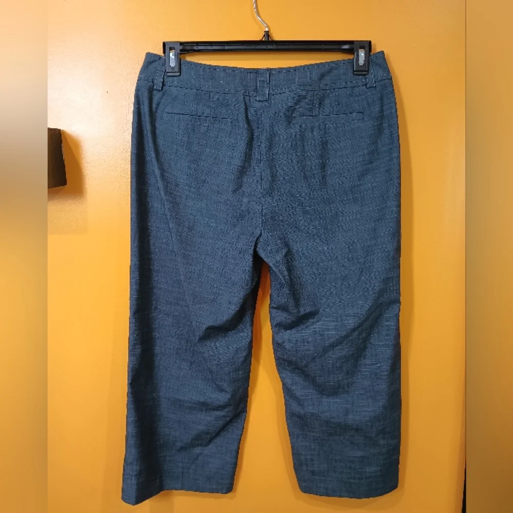 Apt 9 Stretch Maxwell Gray Cropped Pants Size 12 - Picture 10 of 12